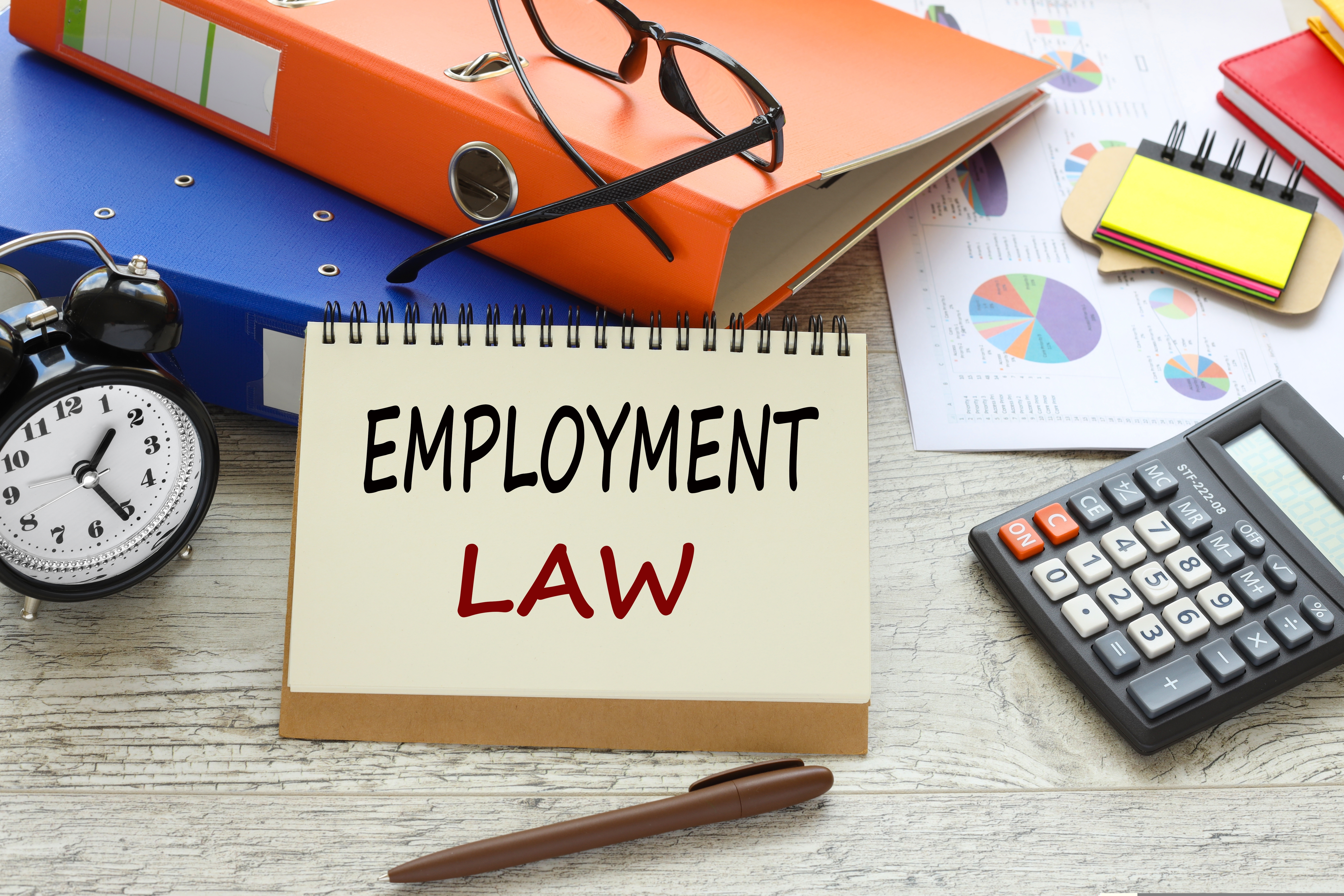 Employment Rights Bill